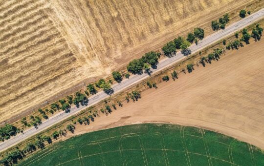 Zdjęcie do artykułu: Kto może wykonywać prace geodezyjne – wymagane uprawnienia